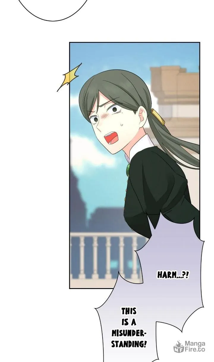 Reincarnated as the Antagonist