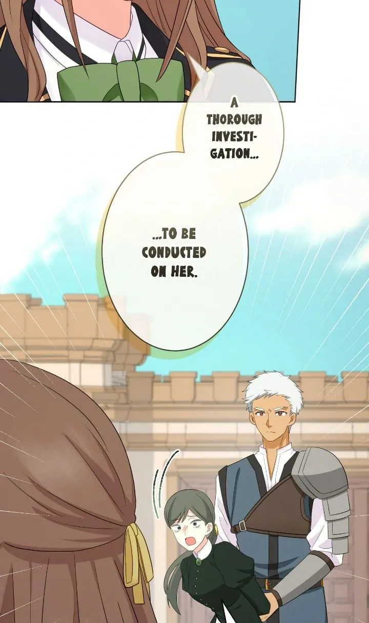 Reincarnated as the Antagonist