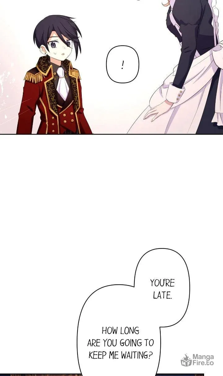 Reincarnated as the Antagonist