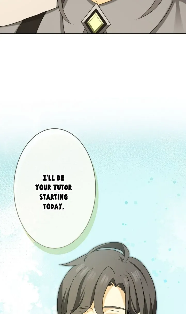 Reincarnated as the Antagonist