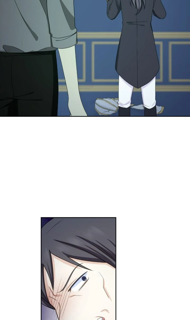 Reincarnated as the Antagonist