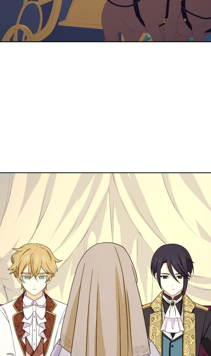 Reincarnated as the Antagonist