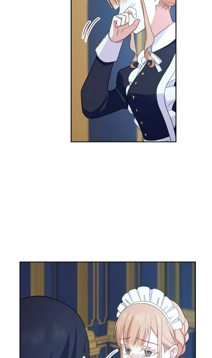 Reincarnated as the Antagonist
