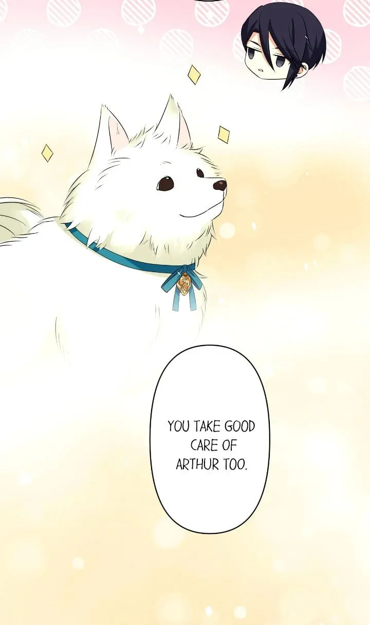 Reincarnated as the Antagonist