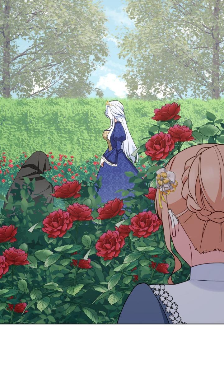 Reincarnated as the Antagonist