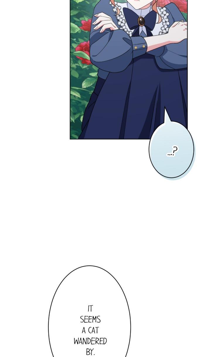 Reincarnated as the Antagonist