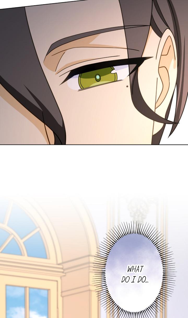 Reincarnated as the Antagonist