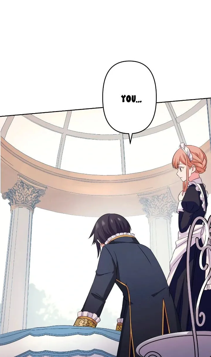 Reincarnated as the Antagonist