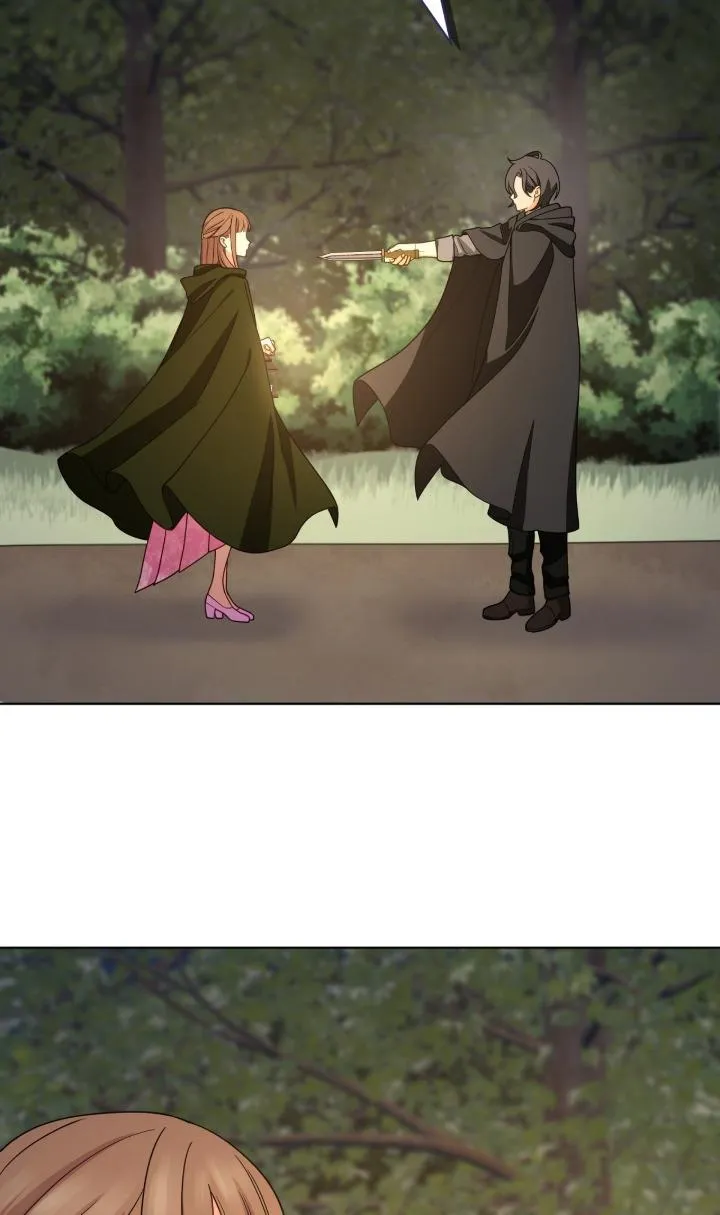 Reincarnated as the Antagonist