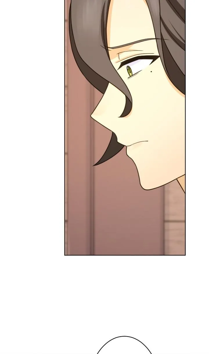 Reincarnated as the Antagonist