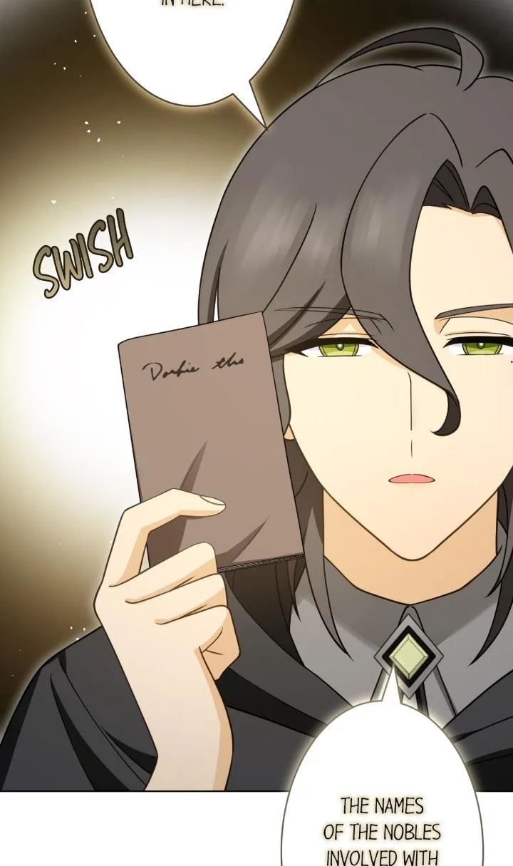 Reincarnated as the Antagonist