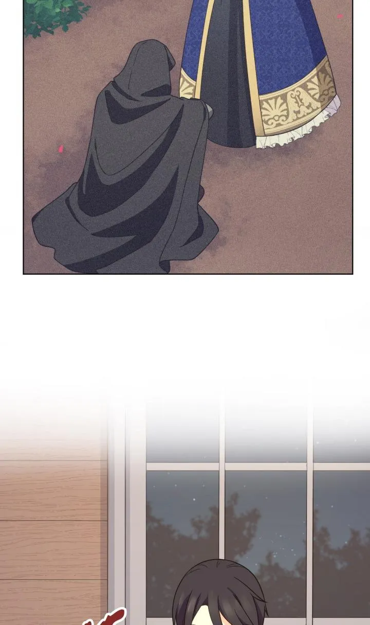 Reincarnated as the Antagonist