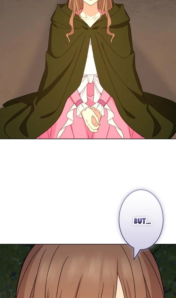 Reincarnated as the Antagonist