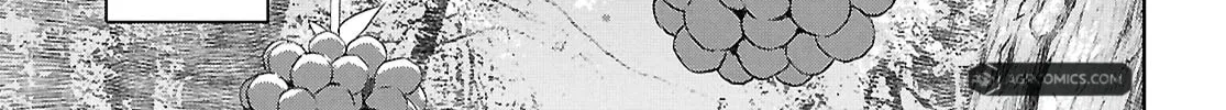Reincarnated as the Mastermind of the Story Chapter 25 page 32 - 