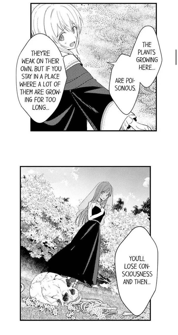 Reincarnated into Demon King Evelogia