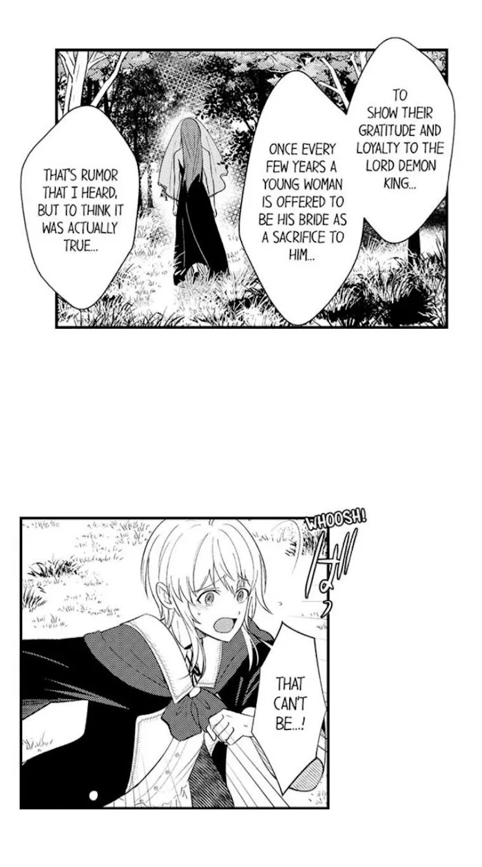 Reincarnated into Demon King Evelogia