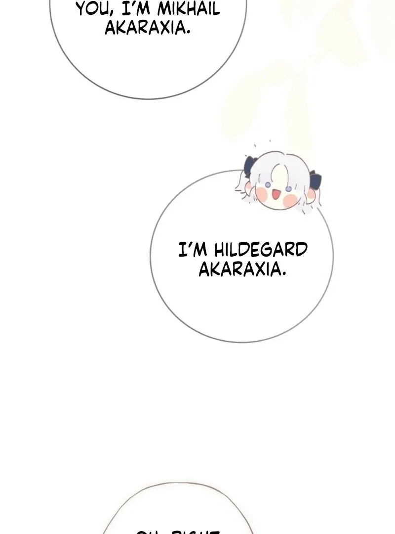 Reincarnated Princess Chapter 48 page 45 - 