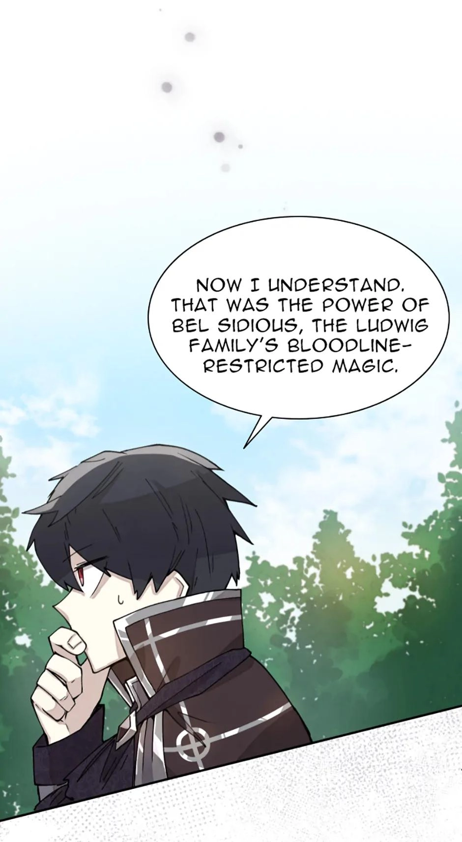 Reincarnation of the Hero Party