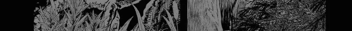 Reiwa no Dara-san Chapter 21 page 4 - 