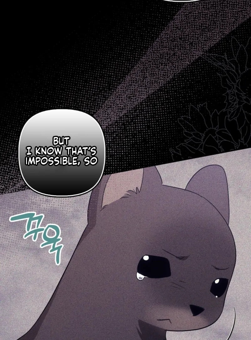 Rejected Lady Enjoying a Modest Life Chapter 104 page 61 - 
