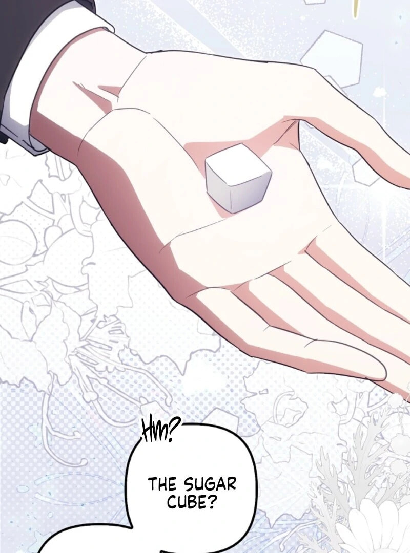 Rejected Lady Enjoying a Modest Life Chapter 106 page 74 - 