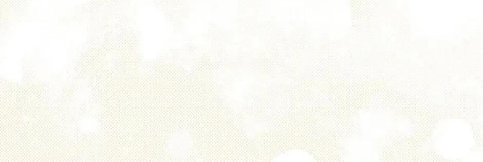 Rejected Lady Enjoying a Modest Life Chapter 29 page 32 - 