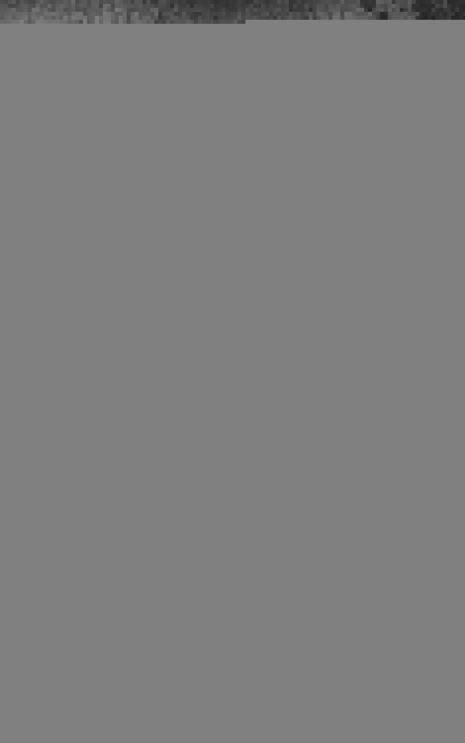Rejected Lady Enjoying a Modest Life Chapter 31 page 81 - 