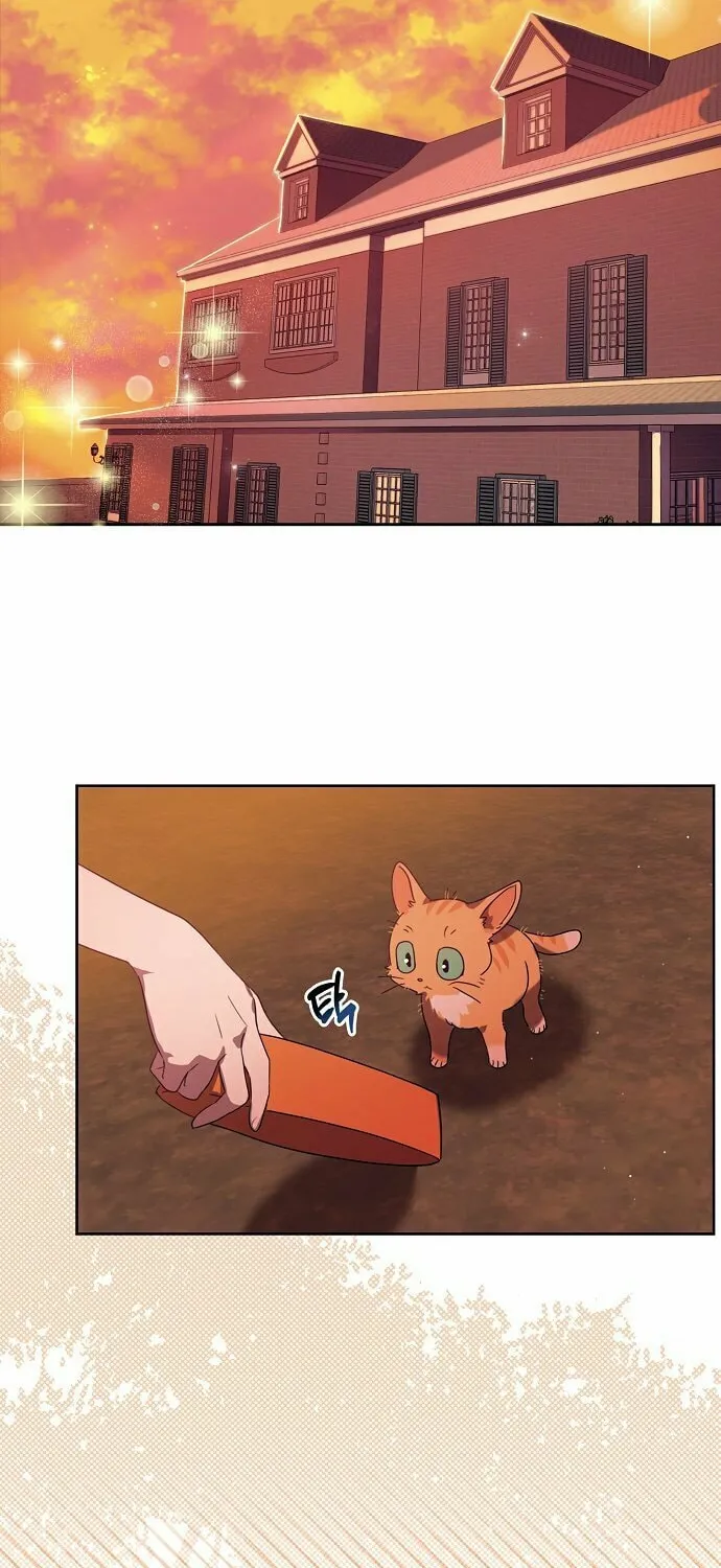 Rejected Lady Enjoying a Modest Life Chapter 4 page 53 - 