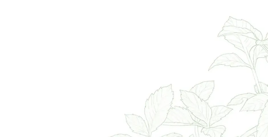 Rejected Lady Enjoying a Modest Life Chapter 40 page 166 - 