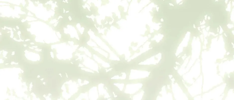 Rejected Lady Enjoying a Modest Life Chapter 42 page 4 - 