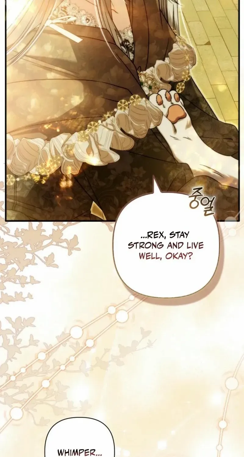 Rejecting The Perfect Marriage Chapter 16 page 78 - 