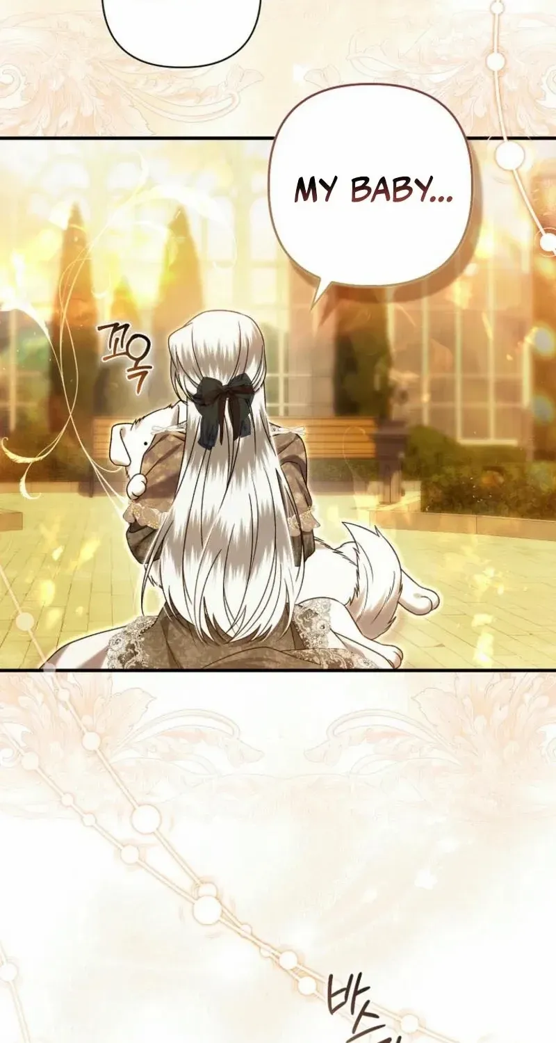 Rejecting The Perfect Marriage Chapter 16 page 79 - 