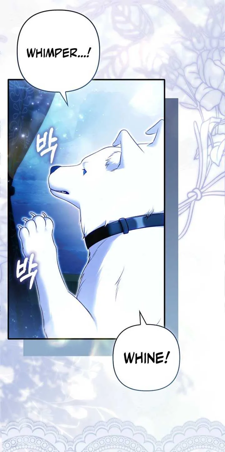 Rejecting The Perfect Marriage Chapter 31 page 68 - 