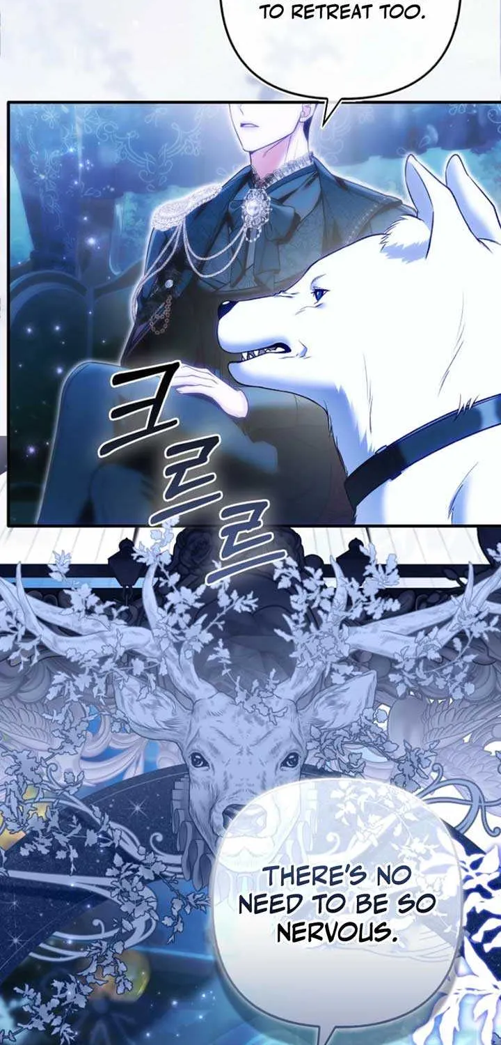 Rejecting The Perfect Marriage Chapter 31 page 70 - 