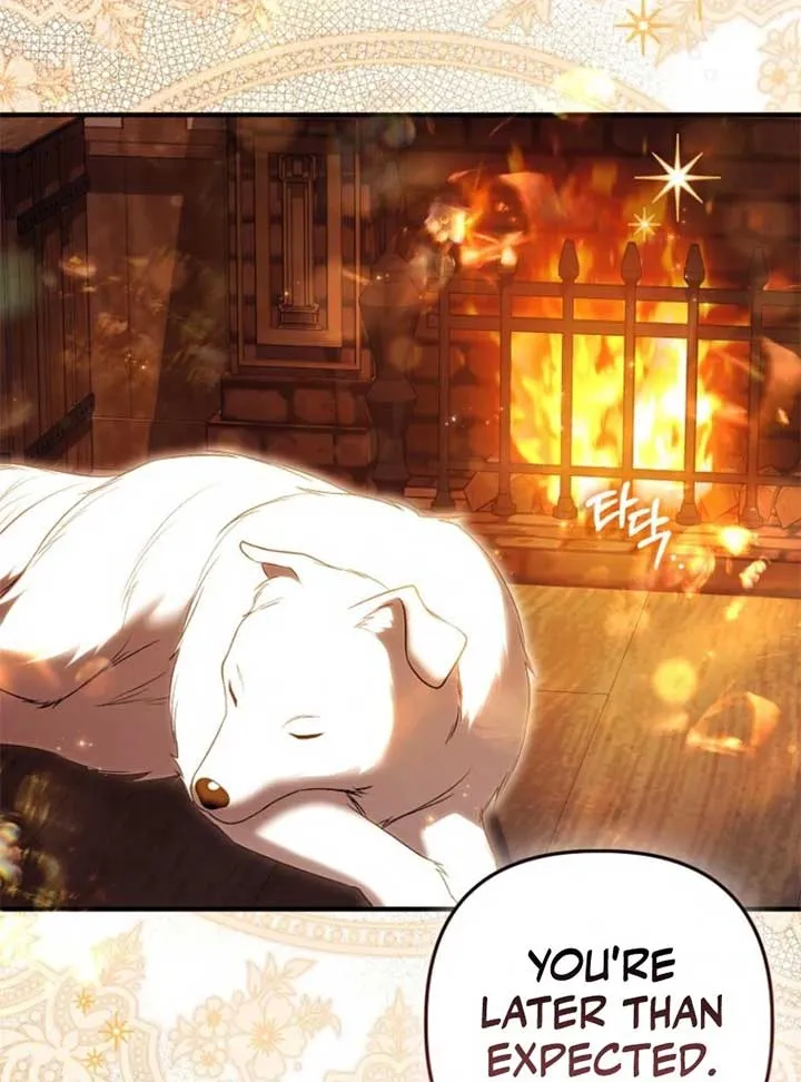 Rejecting The Perfect Marriage Chapter 34 page 131 - 