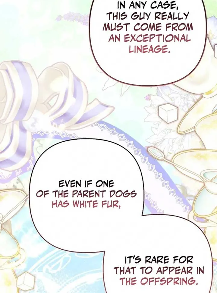 Rejecting The Perfect Marriage Chapter 34 page 61 - 