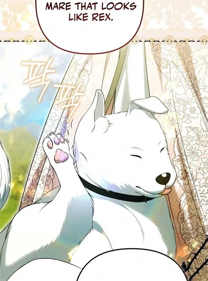 Rejecting The Perfect Marriage Chapter 34 page 78 - 