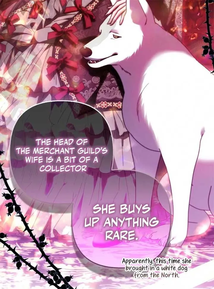 Rejecting The Perfect Marriage Chapter 34 page 81 - 