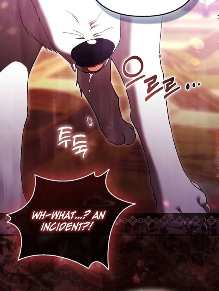 Rejecting The Perfect Marriage Chapter 35 page 32 - 