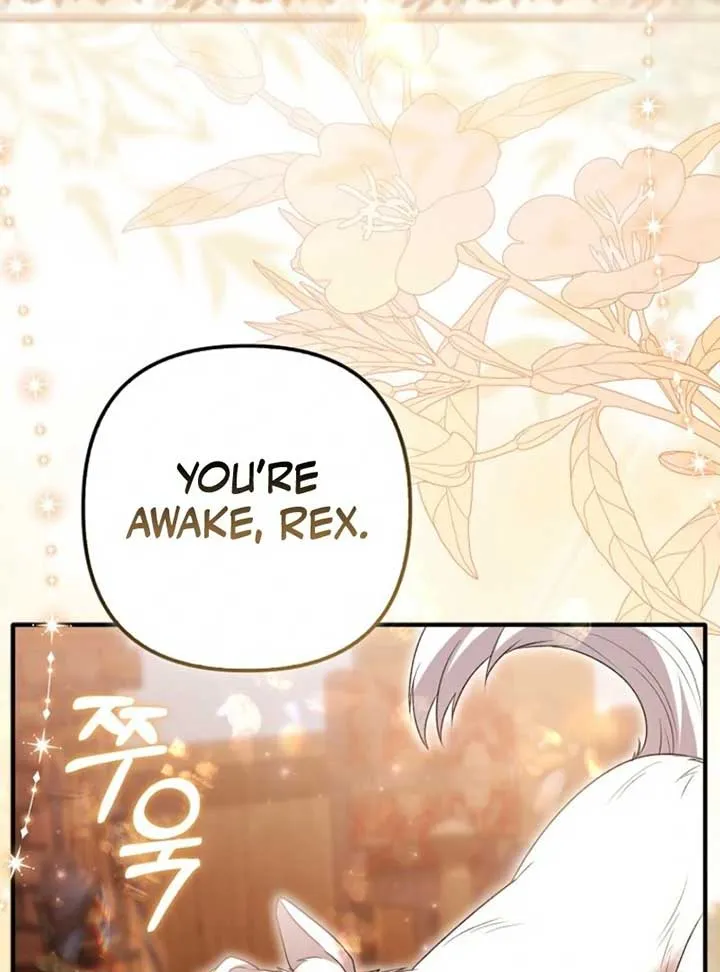 Rejecting The Perfect Marriage Chapter 35 page 72 - 