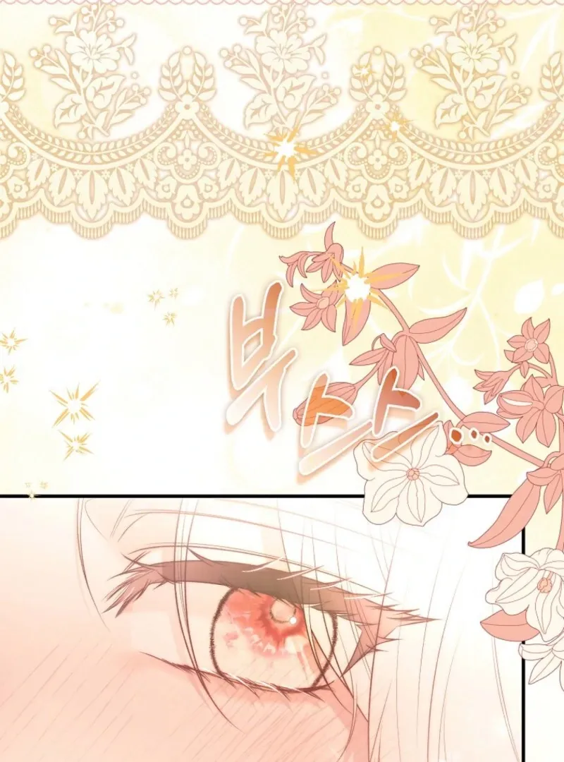 Rejecting The Perfect Marriage Chapter 36 page 101 - 