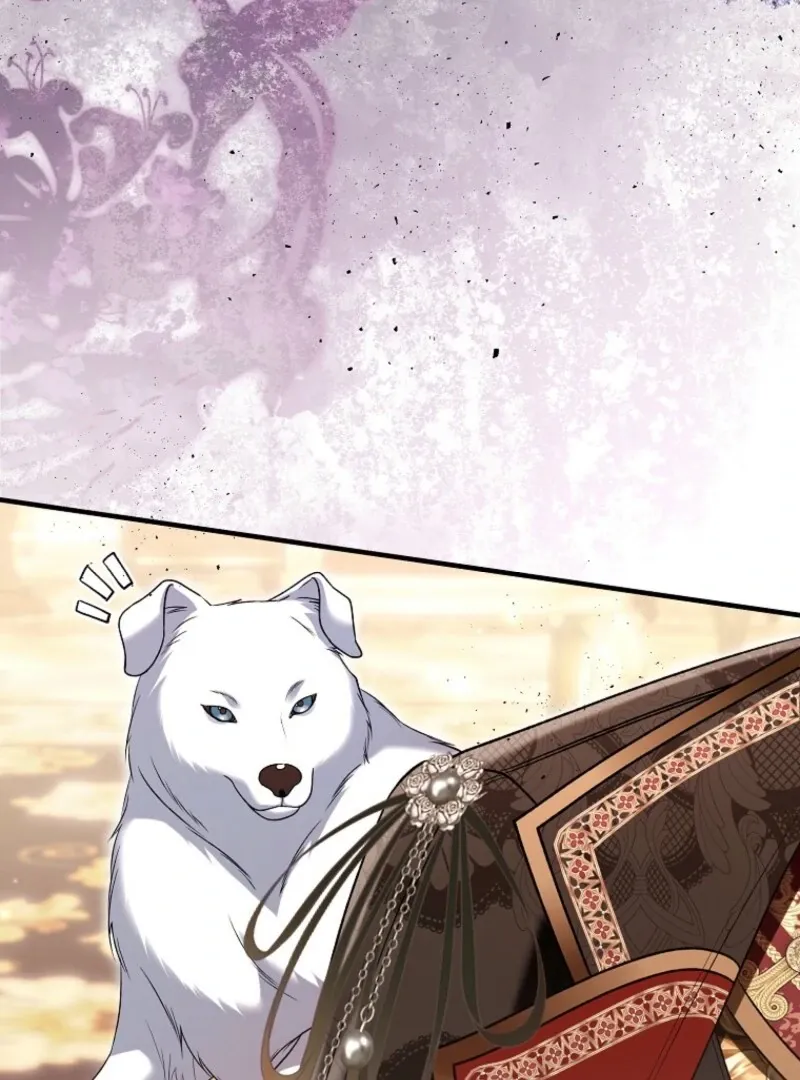 Rejecting The Perfect Marriage Chapter 36 page 17 - 