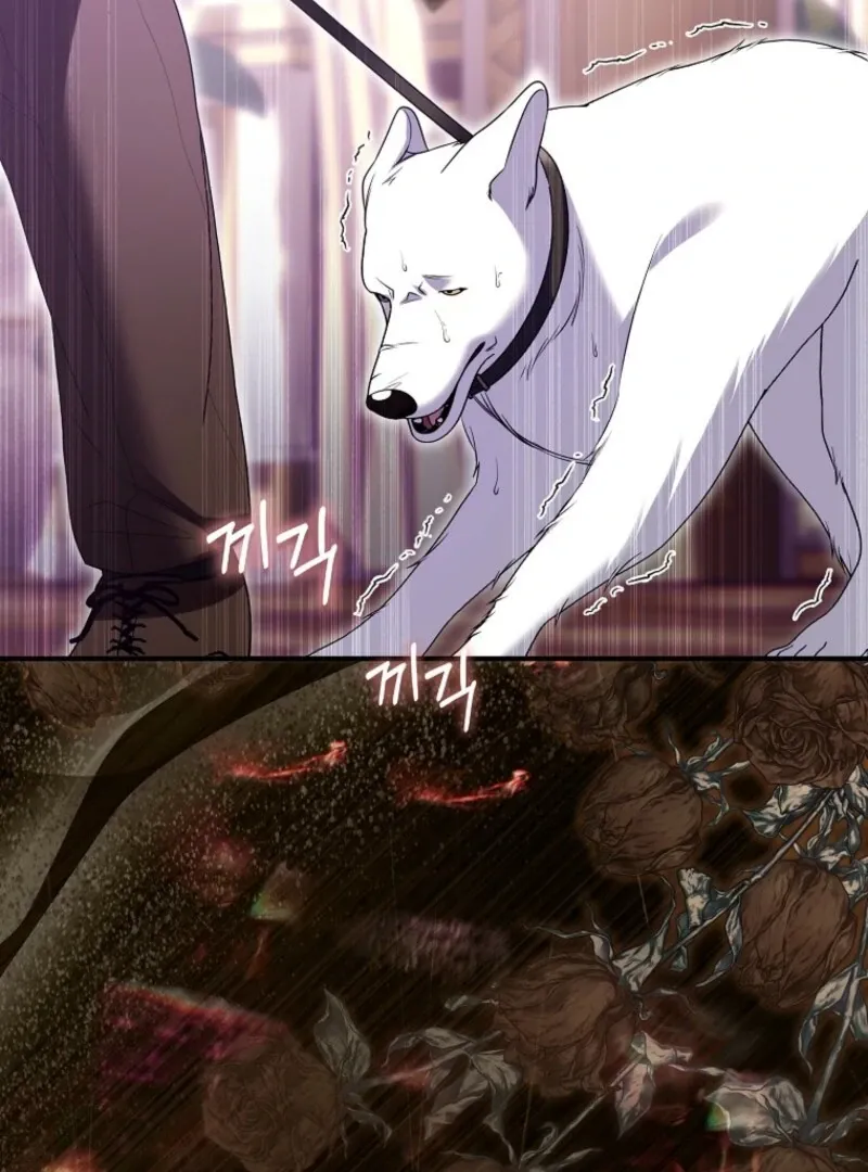 Rejecting The Perfect Marriage Chapter 36 page 28 - 