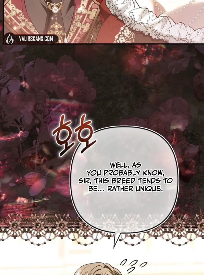 Rejecting The Perfect Marriage Chapter 36 page 30 - 