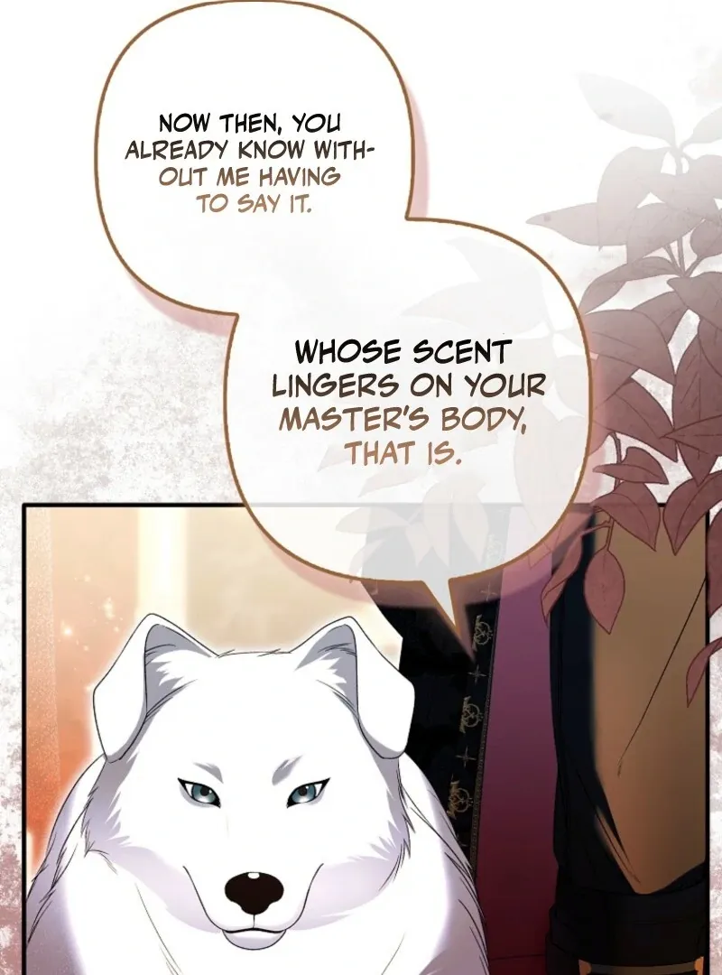 Rejecting The Perfect Marriage Chapter 36 page 69 - 