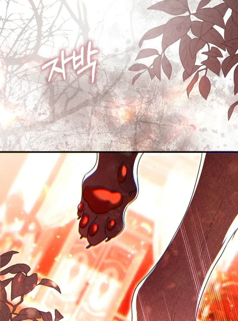 Rejecting The Perfect Marriage Chapter 36 page 71 - 