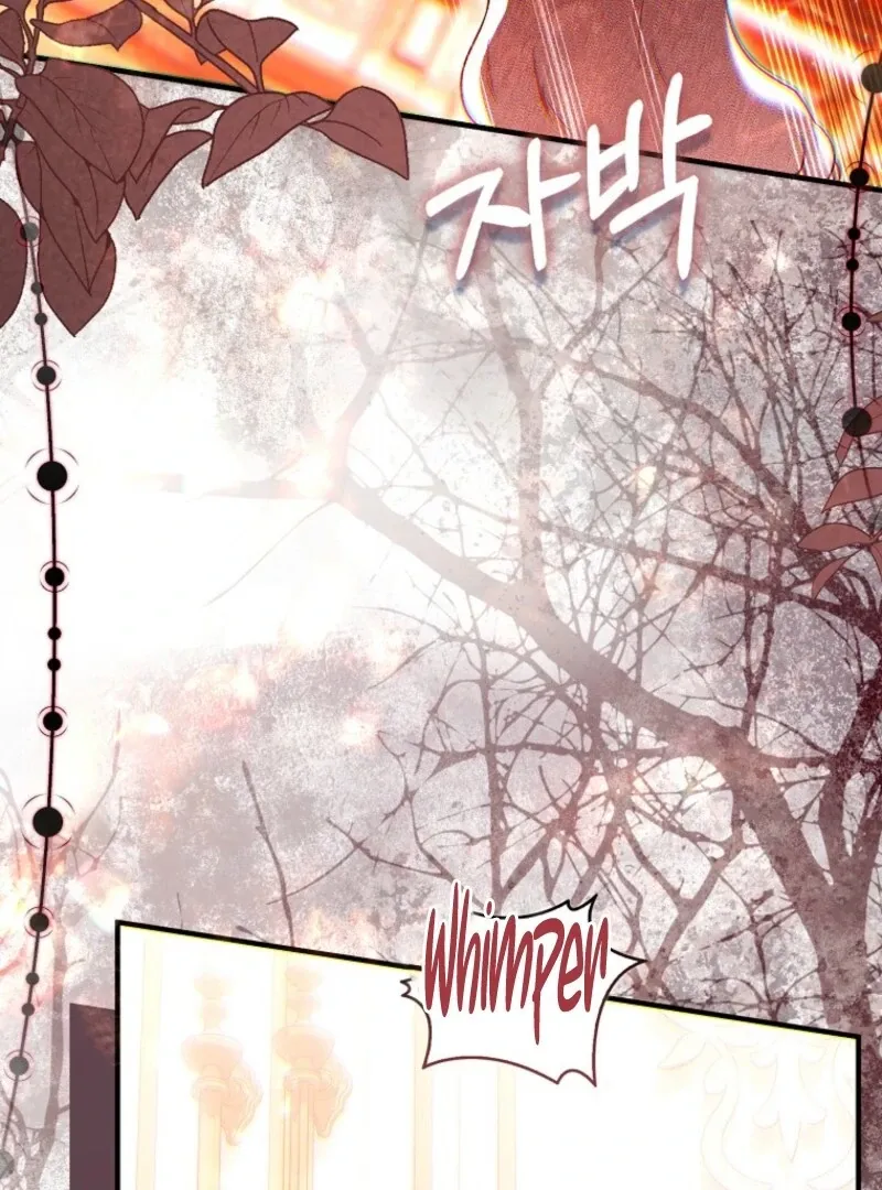 Rejecting The Perfect Marriage Chapter 36 page 72 - 