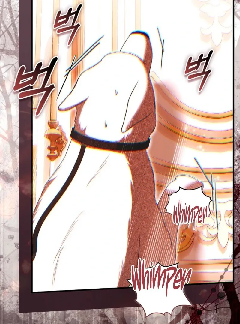 Rejecting The Perfect Marriage Chapter 36 page 73 - 