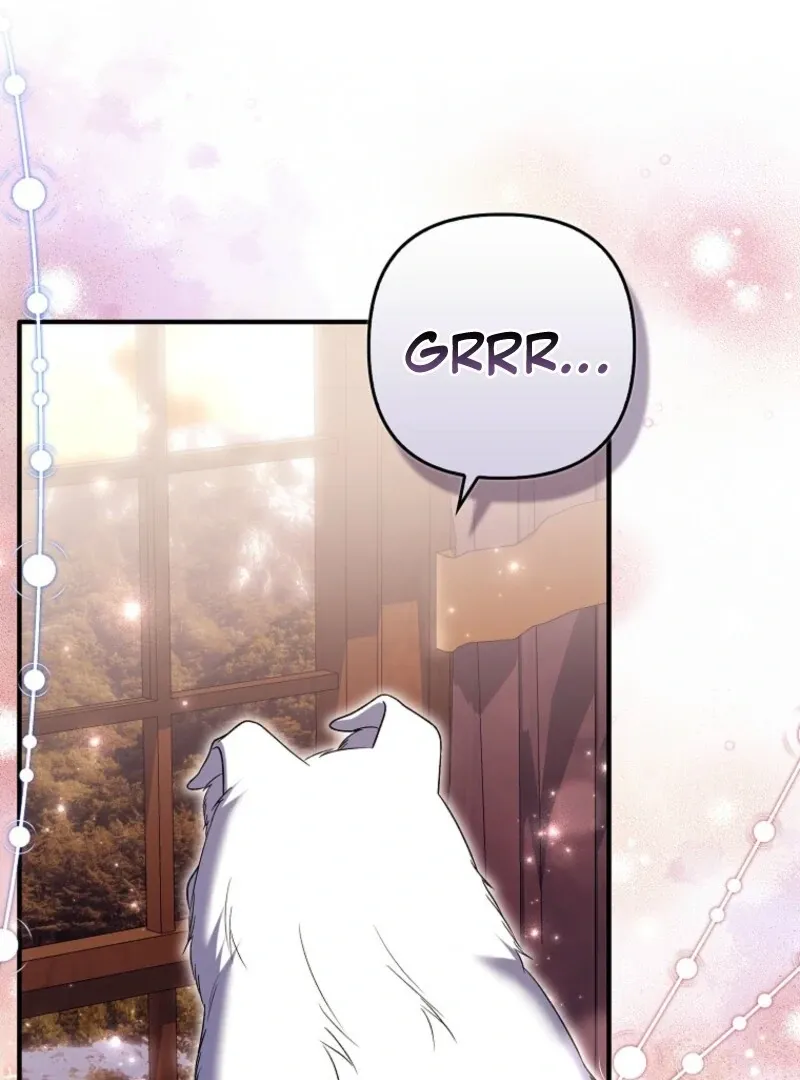 Rejecting The Perfect Marriage Chapter 39 page 114 - 