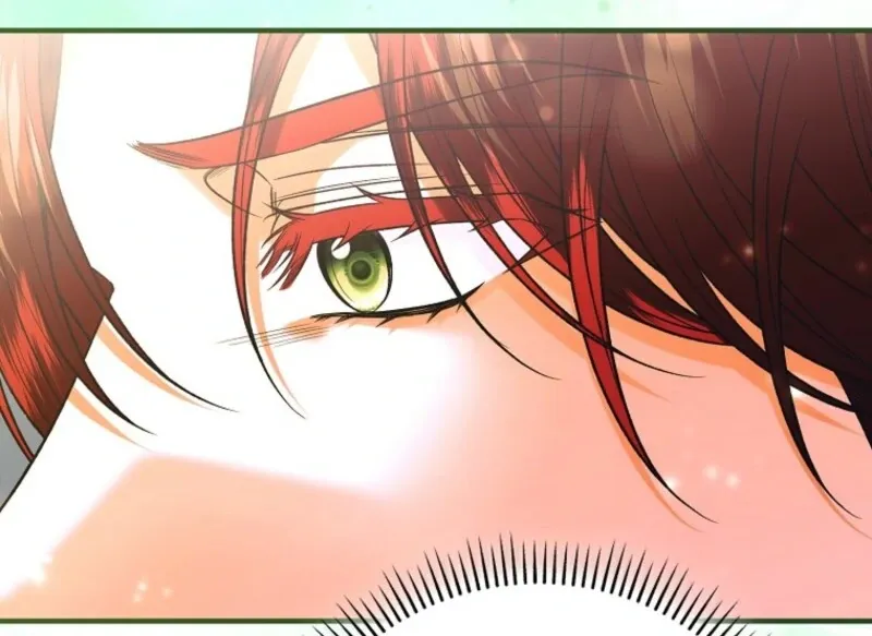 Rejecting The Perfect Marriage Chapter 39 page 66 - 